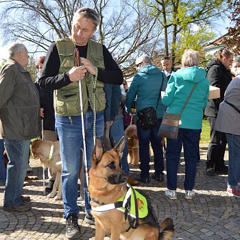 
                                Dvacátý ročník soutěže Cesta ve tmě přilákal do Blanska osmnáct nevidomých soutěžících a jejich vodicích psů. FOTO: Renata Spotzová
                                    