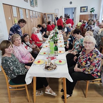 
                                Senioři z Blanska letos navštívili partnerské město Komárno. FOTO: Zdeněk Lejtnar
                                    