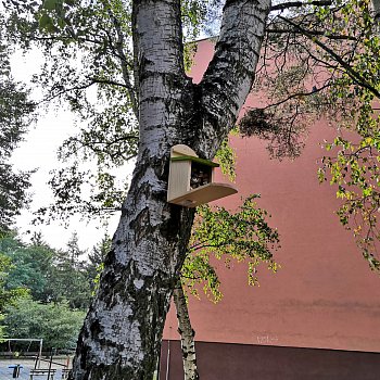 
                                Slavnostní otevření altánku v Salmově ulici. FOTO: Michal Záboj
                                    