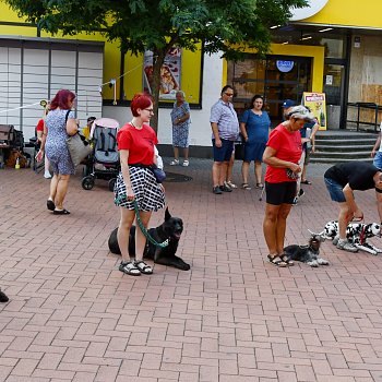 
                                Zažít Blansko jinak 2024. FOTO: Michal Záboj
                                    