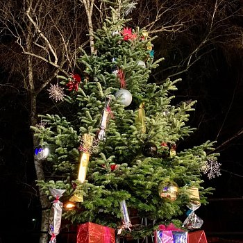 
                                Malí i velcí návštěvníci si užili Sněhovou adventní neděli na Myslivně. FOTO: archiv pořadatelů
                                    