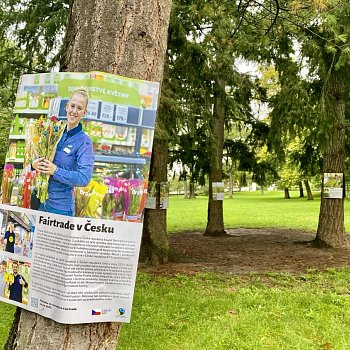 
                                V zámeckém parku je k vidění Výstava na stromech. FOTO: Pavla Komárková
                                    