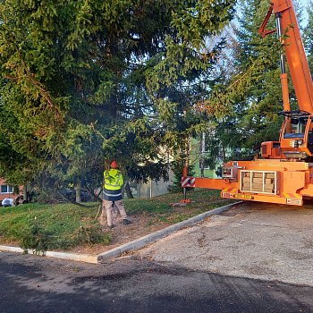 
                                Blansko už má vánoční strom. FOTO: Sabina Pavloušková
                                    