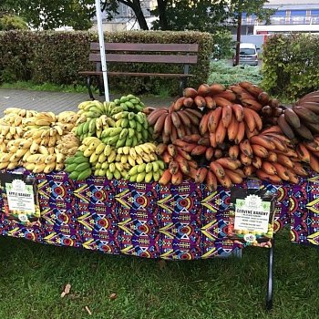 
                                V parku před kinem lidé mohli nakoupit na Afrických trzích, FOTO: Kultura Blansko
                                    