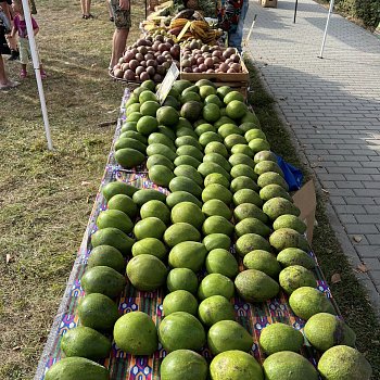 
                                Africké trhy před kinem. FOTO: KSMB
                                    