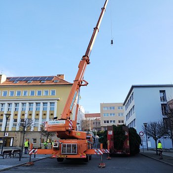 
                                Blansko už má vánoční strom. FOTO: Sabina Pavloušková
                                    