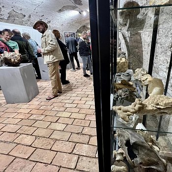 
                                Čtvrteční vernisáží odstartovala nová výstava Cesta podzemím Býčí skály. FOTO: archiv pořadatele
                                    