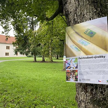 
                                V zámeckém parku je k vidění Výstava na stromech. FOTO: Pavla Komárková
                                    