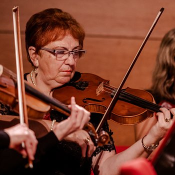 
                                Večer hudebně doprovodil Komorní orchestr města Blanska. FOTO: Michaela Buchtová
                                    