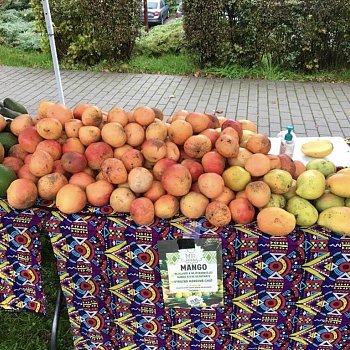 
                                V parku před kinem lidé mohli nakoupit na Afrických trzích, FOTO: Kultura Blansko 
                                    