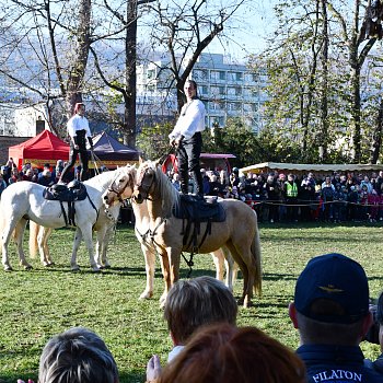 
                                Nedělní program v zámeckém parku. FOTO: Michal Záboj
                                    