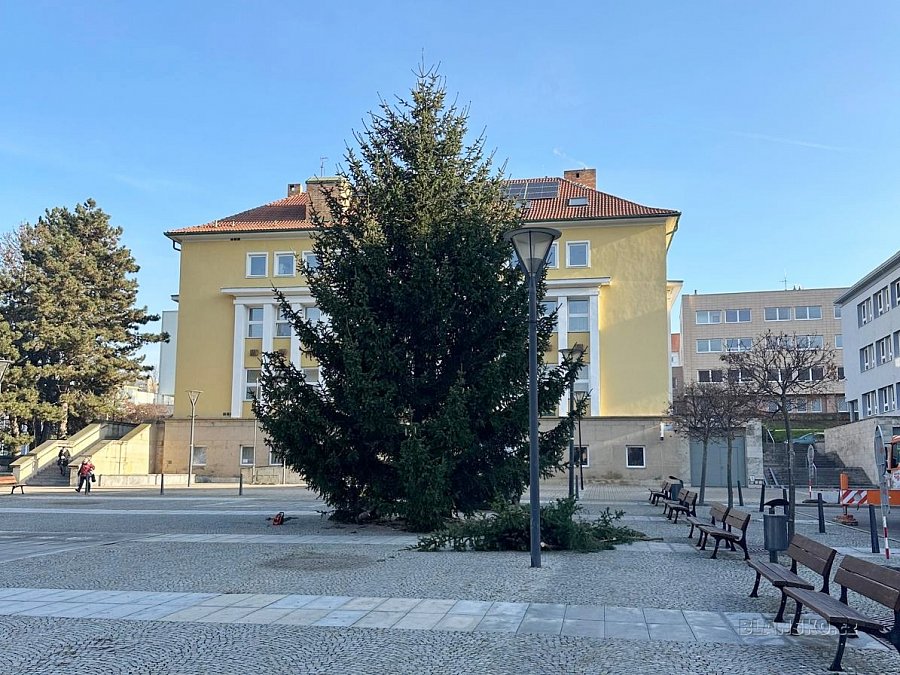 
                                Blansko už má vánoční strom. FOTO: Miroslav Černý
                                    