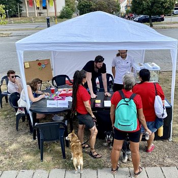 
                                Zažít Blansko jinak 2024. FOTO: Pavla Komárková
                                    