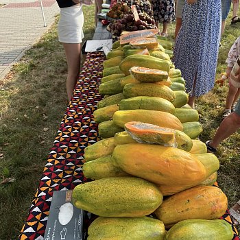 
                                Africké trhy před kinem. FOTO: KSMB
                                    