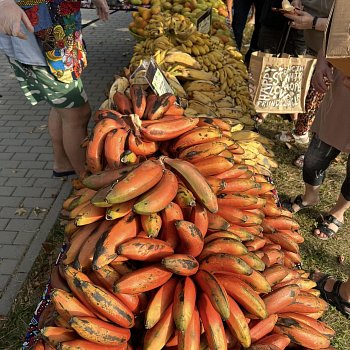 
                                Africké trhy před kinem. FOTO: KSMB
                                    