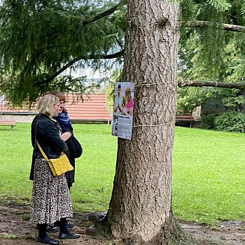 
                                V zámeckém parku je k vidění Výstava na stromech. FOTO: Pavla Komárková
                                    