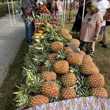 
                                Africké trhy před kinem. FOTO: KSMB
                                    