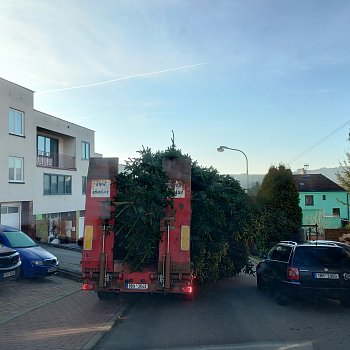 
                                Blansko už má vánoční strom. FOTO: Sabina Pavloušková
                                    