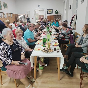 
                                Senioři z Blanska navštívili partnerské město Komárno. FOTO: Zdeněk Lejtnar
                                    