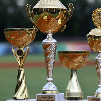 
                                Z turnaje Českého baseballového poháru v kategorii U15 si domácí Olympia Blansko odnáší druhé místo. FOTO: Petra Voet
                                    