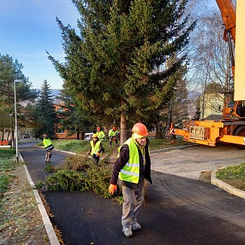 
                                Blansko už má vánoční strom. FOTO: Sabina Pavloušková
                                    