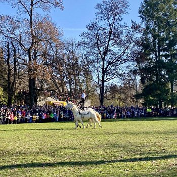 
                                Nedělní program v zámeckém parku patřil koňům. FOTO: Pavla Komárková
                                    