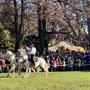 
                                Nedělní program v zámeckém parku patřil koňům. FOTO: Pavla Komárková
                                    