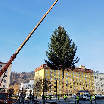 
                                Blansko už má vánoční strom. FOTO: Sabina Pavloušková
                                    